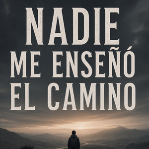 Nadie me enseño el camino by Teresita