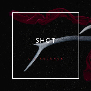 Shot (feat. Roddy Ricch) by Lil Revenge, Roddy Ricch