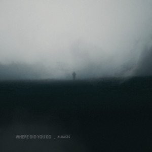 Where Did You Go album cover