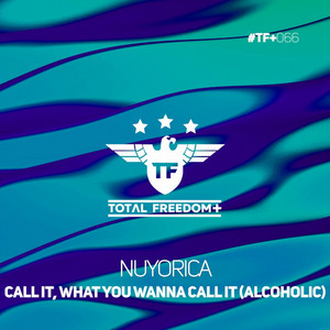 Call It, What You Wanna Call It (Alcoholic) - Radio Edit by Nuyorica