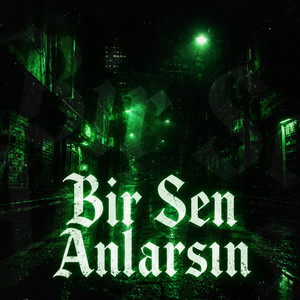 BİR SEN ANLARSIN by toci.tr