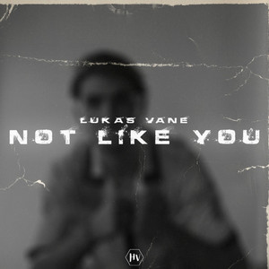 Not Like You by Lukas Vane