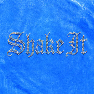 Shake It by Nine and Dex