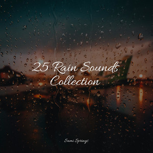 25 Rain Sounds Collection album