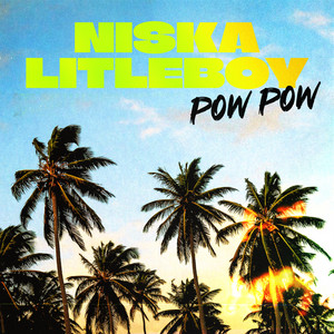 Pow Pow by Niska, litleboy lsbeats767