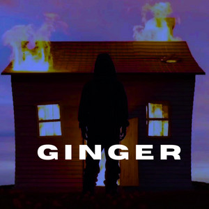 Ginger - Instrumental Version by Rhythem Plug