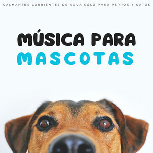 Música Para Mascotas: Calmantes Corrientes De Agua Sólo Para Perros Y Gatos album