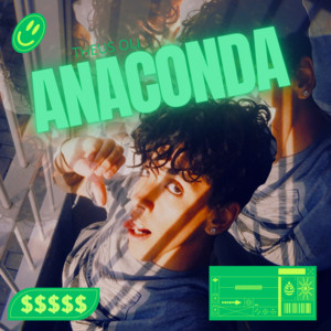 Theus oli - Anaconda (Remix)