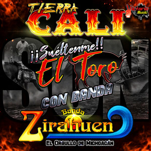 Sueltenme El Toro