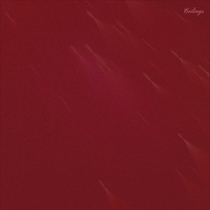 Ceilings by Etienne