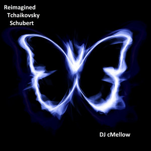 Franz Schubert & DJ cMellow - Quartettsatz Reimagined