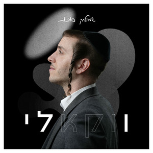 באה השמחה - ווקאלי by שמוליק סוכות