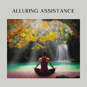 Alluring Assistance album