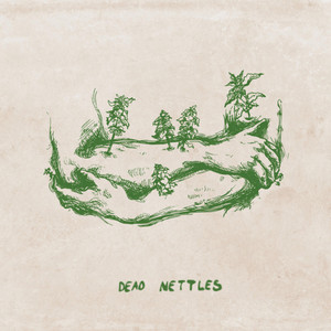 Dead Nettles