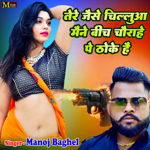 Manoj Baghel - Tere Jaise Chillua Maine Bich Chorahe Pe Thoke Hai