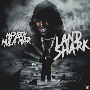 Motion Boyz by Mariboy Mula Mar, Big Steff, Baby Geeze