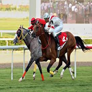 SARAYLI - Son Metreler