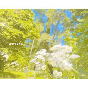❤️ ゴースト❤️魅影 ❤️ ゴースト - song and lyrics by RAY | Spotify