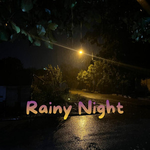 Rainy Night by Norgeng Days