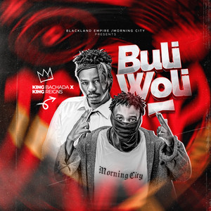 Buli Woli (Instrumental) by King Reigns, King Bachada