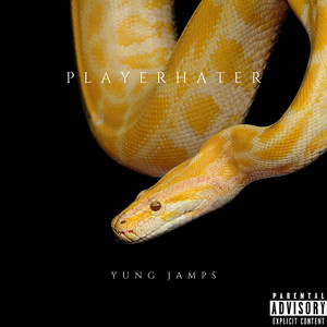 Portada de Playerhater