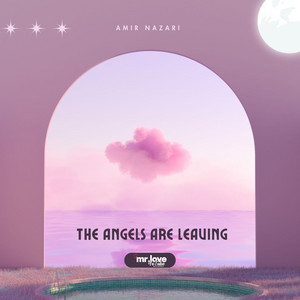The Angels Are Leaving by Amir Nazari