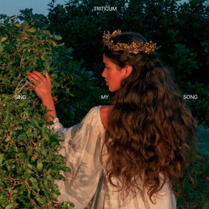 Sing My Song by TRITICUM