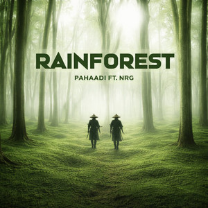 Rainforest