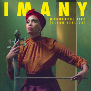 Wonderful Life – Single de Imany | Spotify