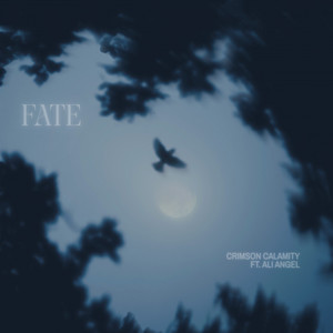 FATE by Crimson Calamity, Ali Angel