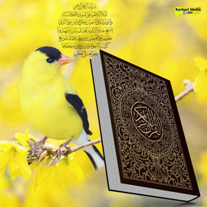 Sheikh Shuraim - 67 Para