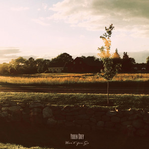 Won't You Go by Yuben Grey