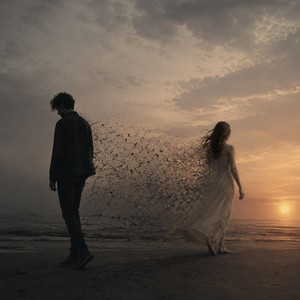 Toxic Lover by Shad XXI