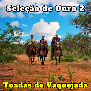 Daduca e Paulinho - Mulher Sem Maldade