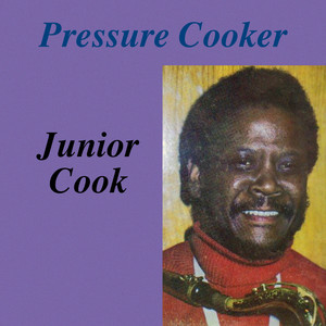 Pressure Cooker cover