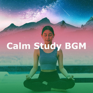 Calm Study BGM