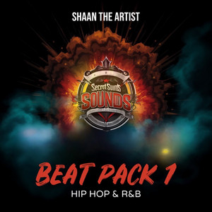 SHAAN THE ARTIST - You Know I Ate