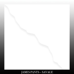 Savage cover
