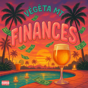 Végéta MT - Finances