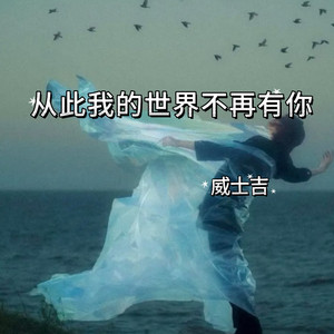 从此我的世界不再有你 - 烟嗓R&B版 by 威士吉