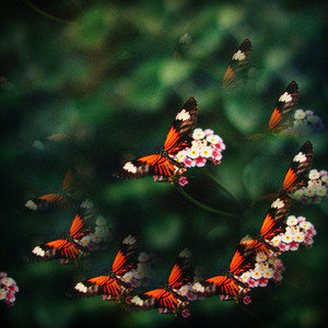 Wasting My Time by Nicky D.
