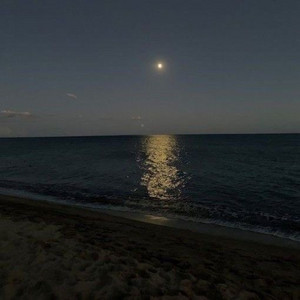 Moonlight on the River ending - Slowed + Reverb by cloud9ine