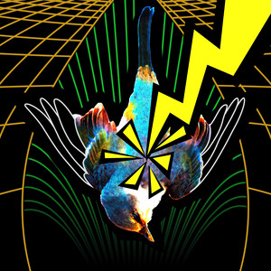 VOIDZ brazil by Blarg