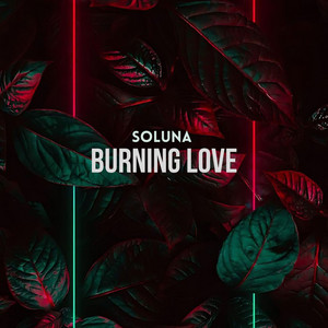 Burning Love (Radio edit) by Soluna