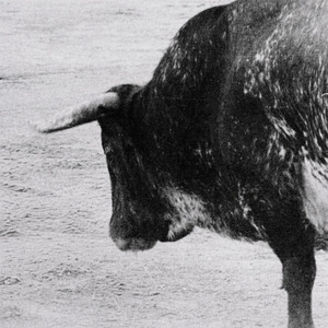 Uña y carne by Alvaro Callejo, Ür Ür, Jorge Wolff