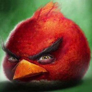 Angry Birds by Angry Children, Sadzilla