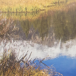 Exploit pro artist photo