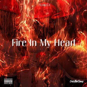 Fire In My Heart cover