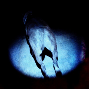 Cover de SATURÉ