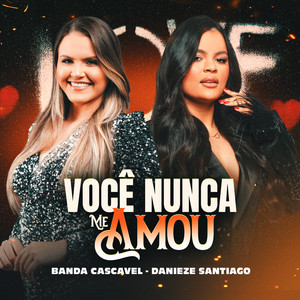Você Nunca Me Amou
